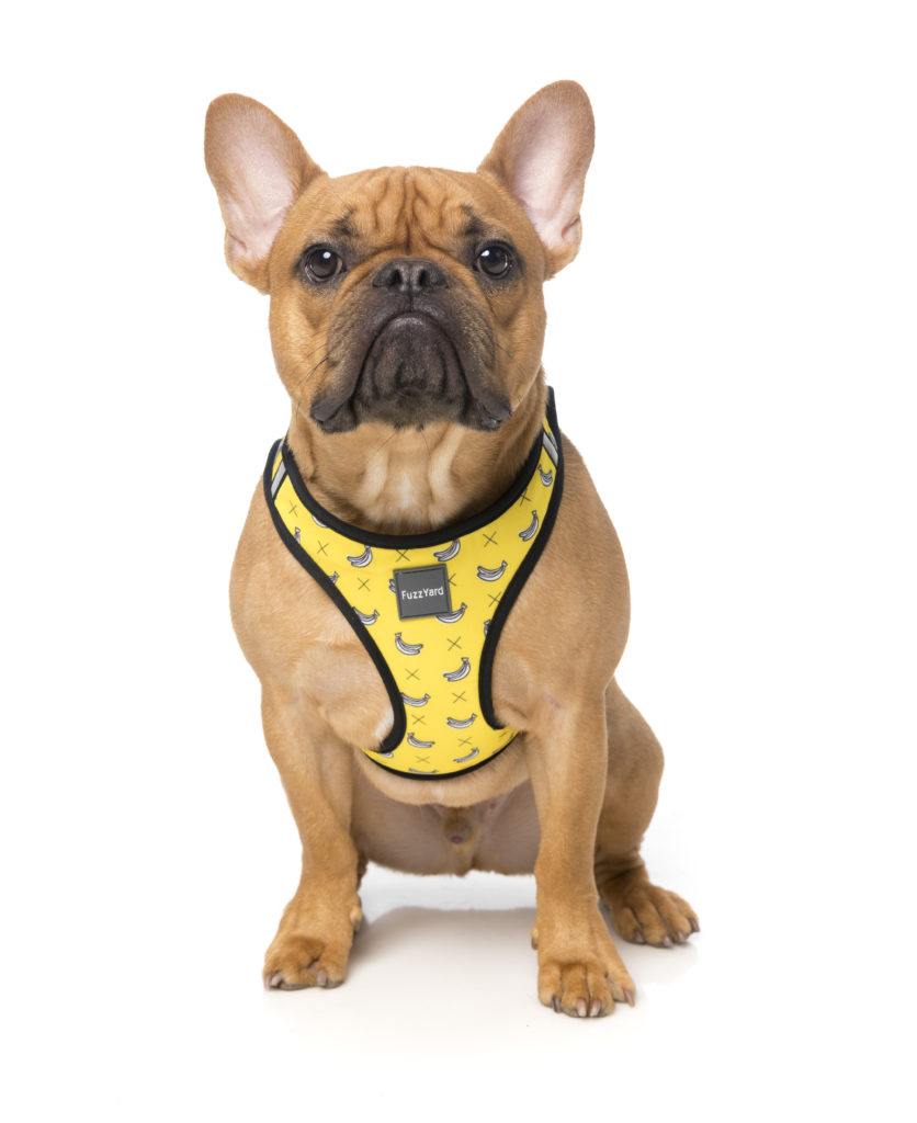 Postroj Step In Monkey Mania zoofauna.sk